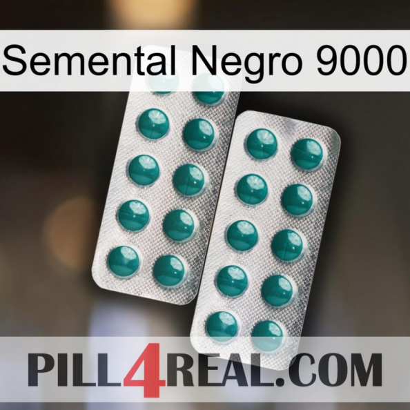 Black Stallion 9000 dapoxetine2.jpg